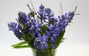 Snijhyacinten Delfs Blauw