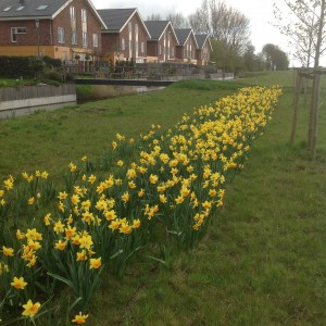 Park Vijfhuizen in bloei