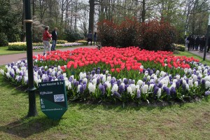 Keukenhof 2015