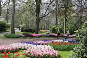 Keukenhof
