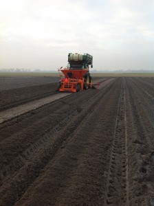 Planten