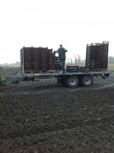Planten