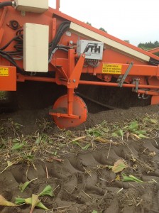 Rooien